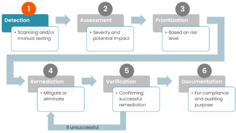 Vulnerability management process Detection, assessment, prioritization, remediation, verification and documentation. 

This image highlights Detection. 