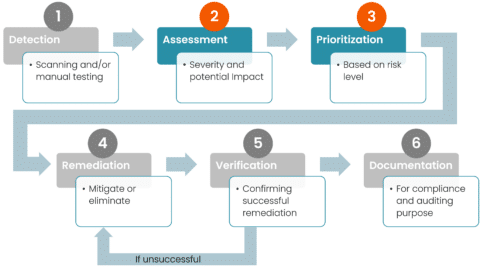 Vulnerability management process Detection, assessment, prioritization, remediation, verification and documentation. 

This image highlights Assessment and Prioritization. 
