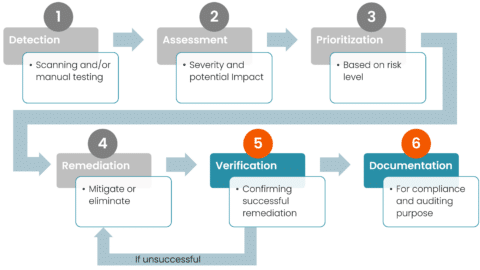 Vulnerability management process Detection, assessment, prioritization, remediation, verification and documentation. 

This image highlights Verification and Documentation. 